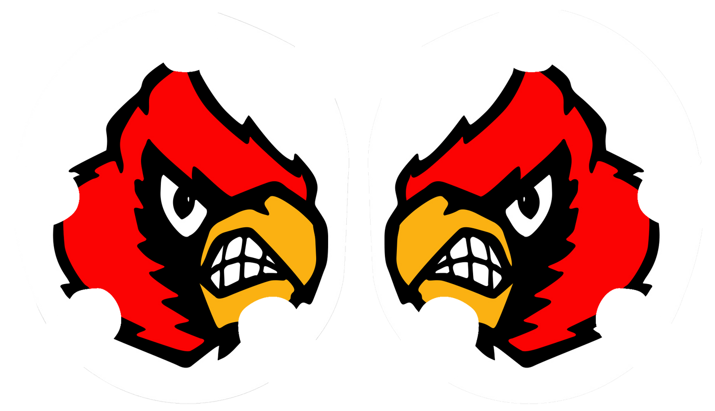 Angry Bird Headgear Decal