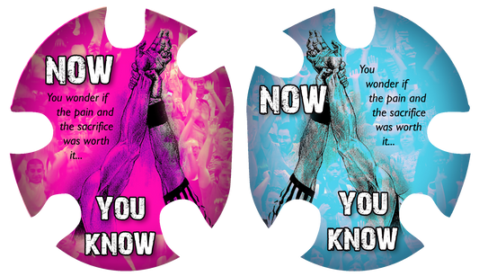 Now You Know Headgear Decal